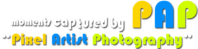 Pixel Artist Photography